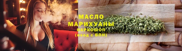 индика Вяземский