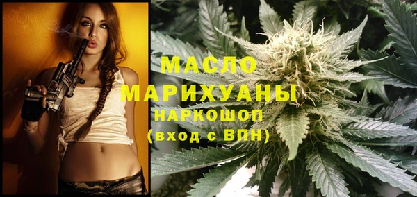 индика Вяземский