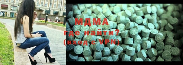 индика Вяземский