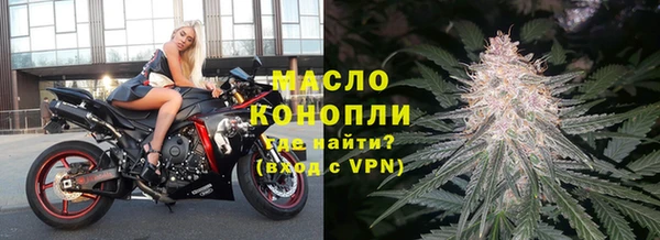 индика Вяземский