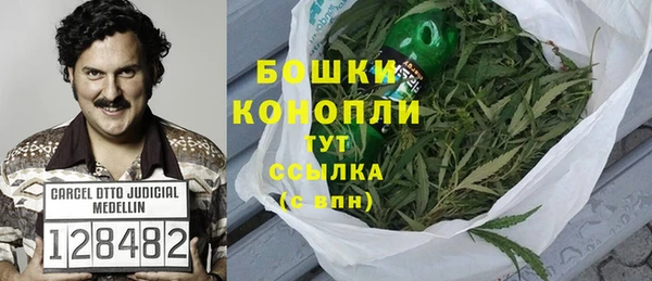 индика Вяземский