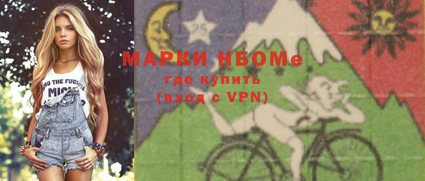индика Вяземский