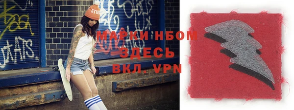 индика Вяземский