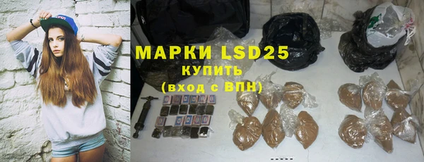 индика Вяземский