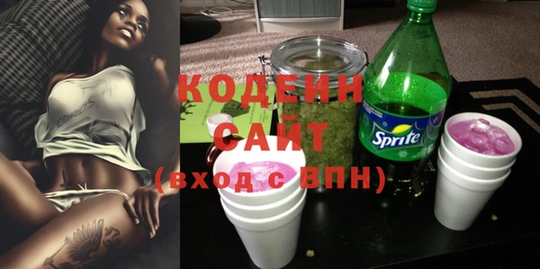 индика Вяземский