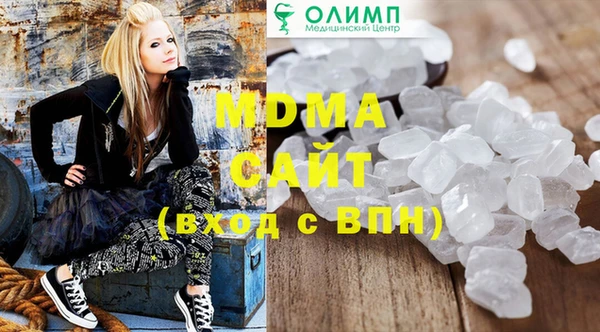 индика Вяземский