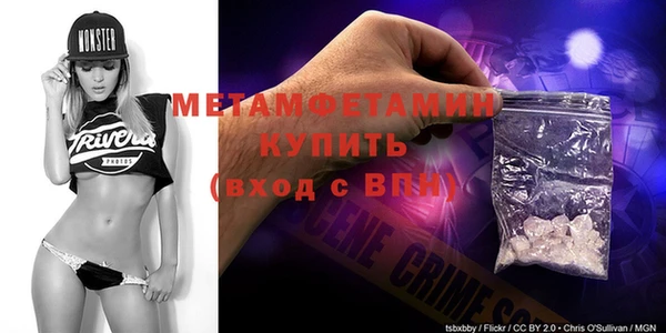 индика Вяземский
