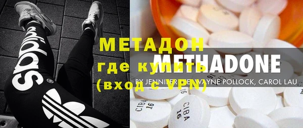 индика Вяземский