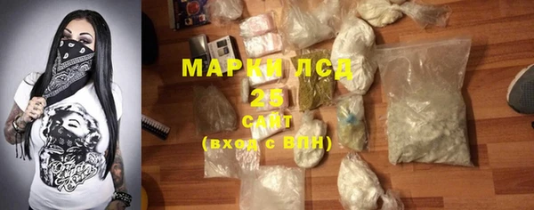 индика Вяземский