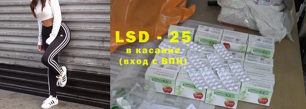 индика Вяземский