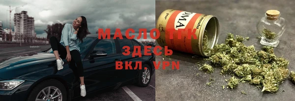 индика Вяземский