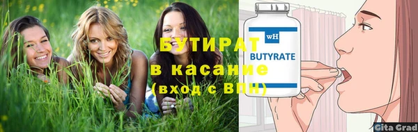 индика Вяземский