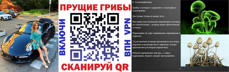 Псилоцибиновые грибы Psilocybine cubensis  Купить где  Олёкминск 